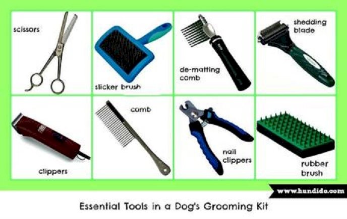 dog-grooming-supplies.jpg
